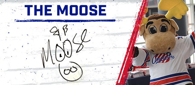 12b0972b-773f-48db-8fb1-2687d6e124cf_2019_PageHeader_Moose_640x280.jpg