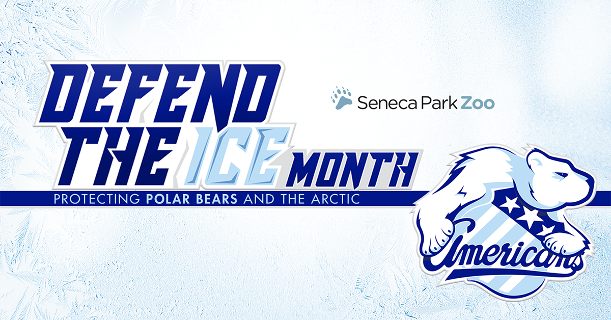 AMERKS RENEW PARTNERSHIP WITH SENECA PARK ZOO SOCIETY FOR “DEFEND THE